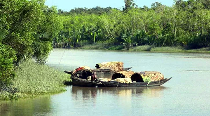 সুন্দরবনে জেলের মৃত্যু, খোঁজ রাখে না বন বিভাগ